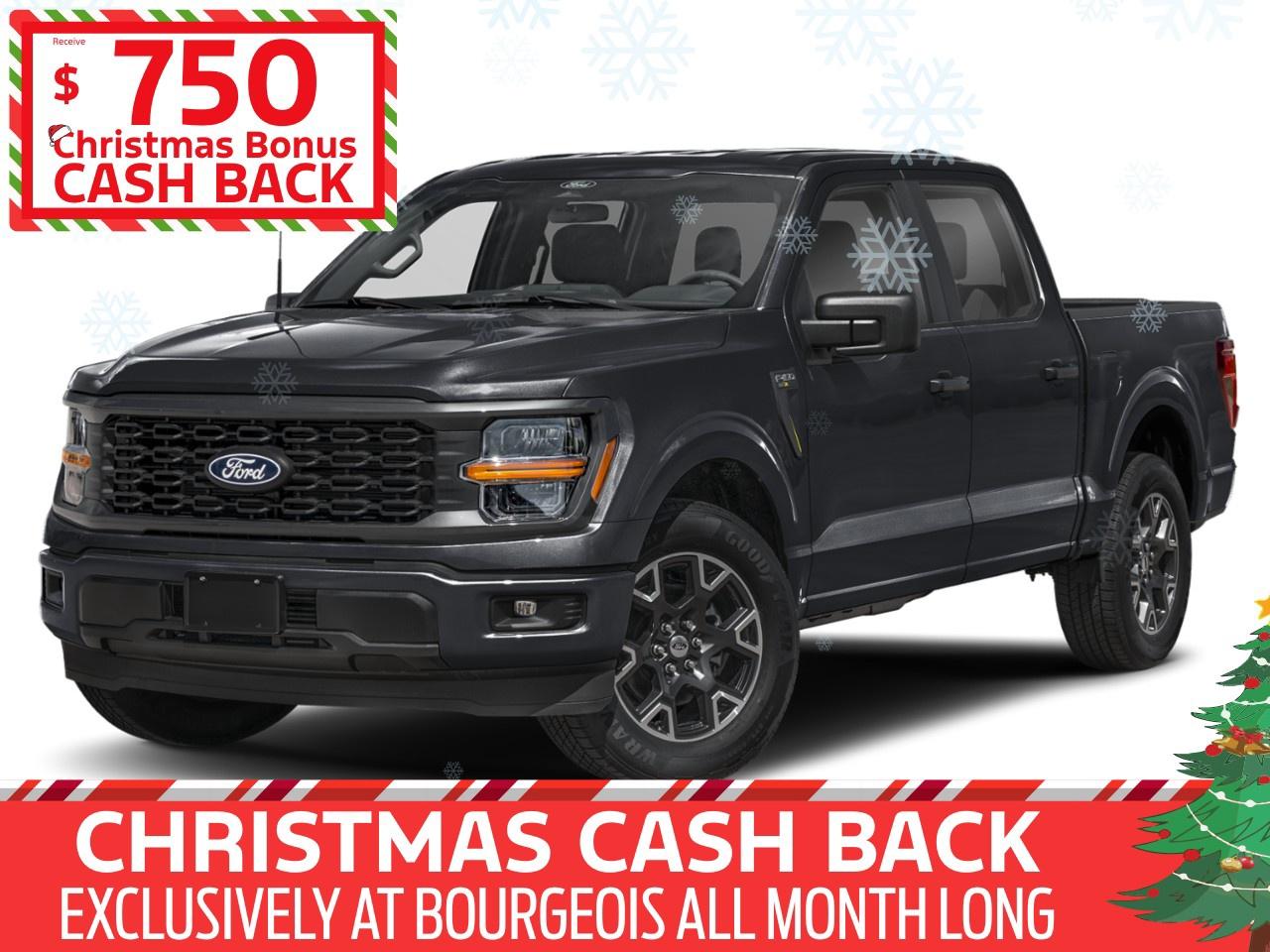 2025 Ford F-150 STX 4WD SuperCrew 5.5' Box Photo0