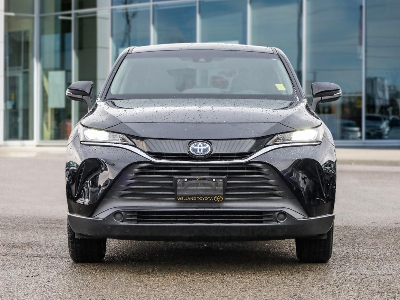 2024 Toyota Venza LE Photo