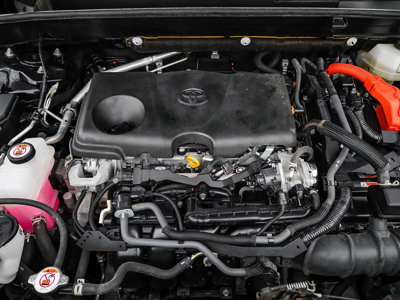 2024 Toyota Venza LE Photo4