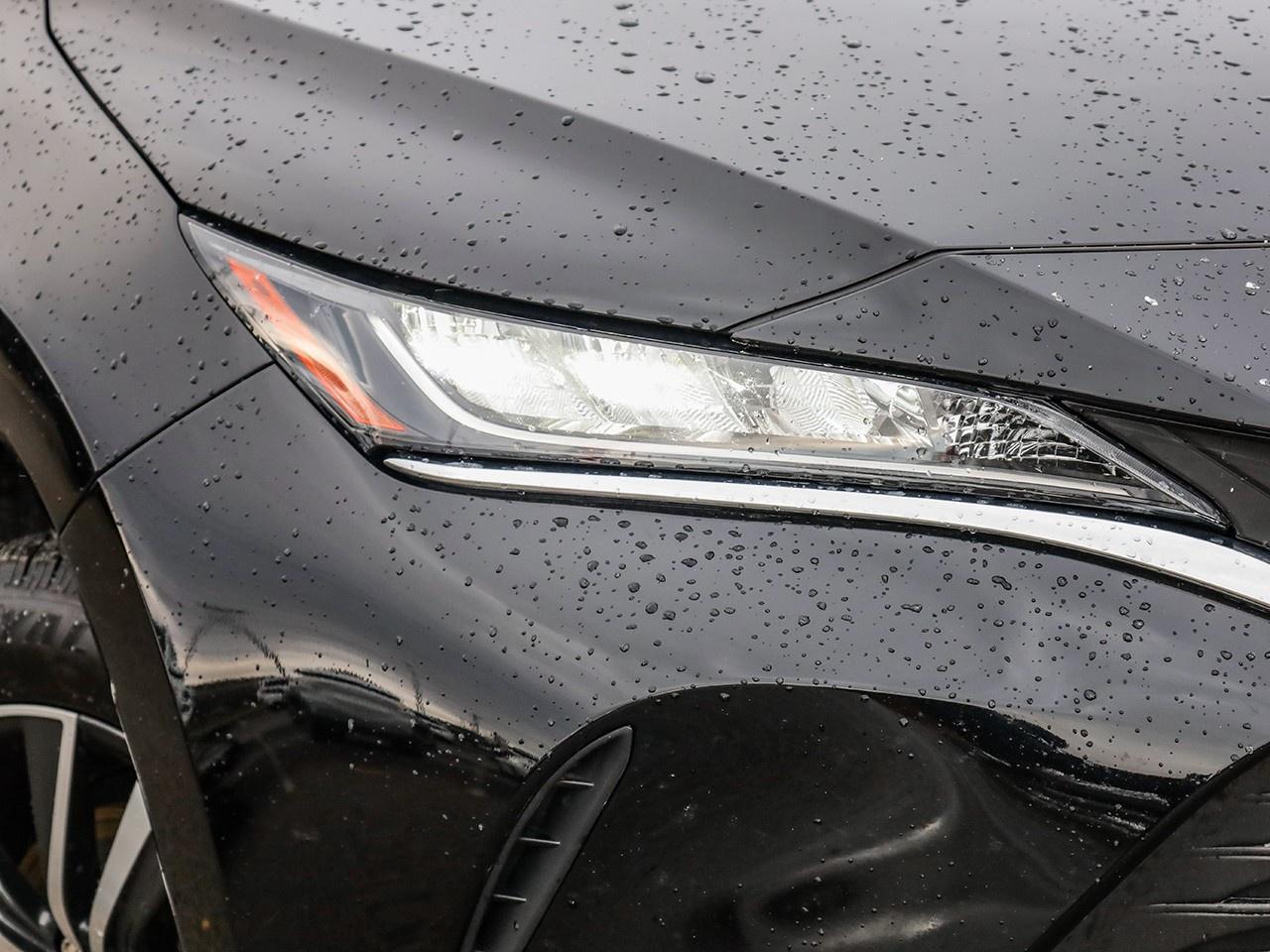 2024 Toyota Venza LE Photo