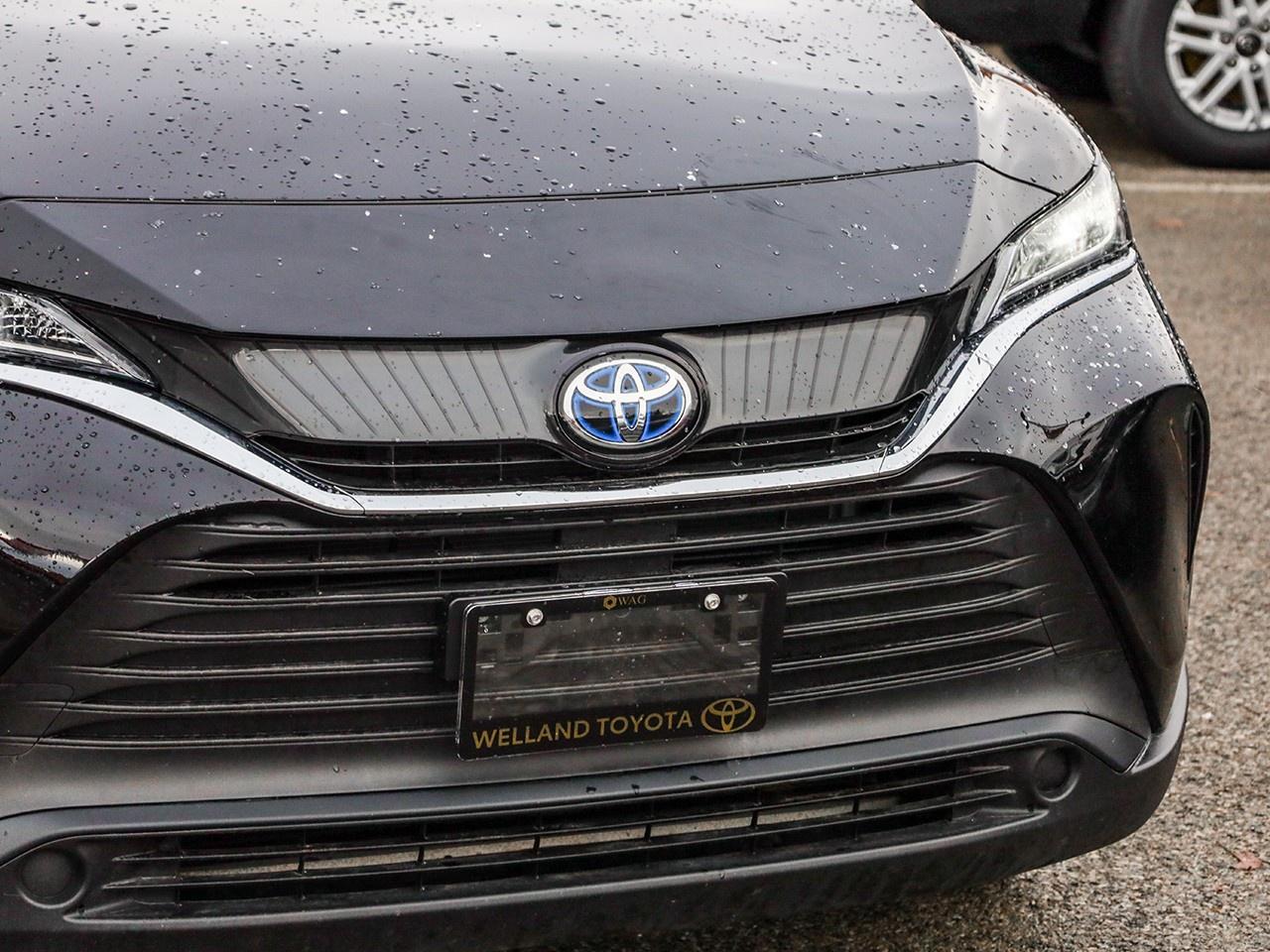 2024 Toyota Venza LE Photo