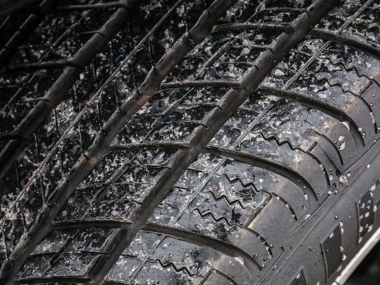 2024 Toyota Venza LE Photo