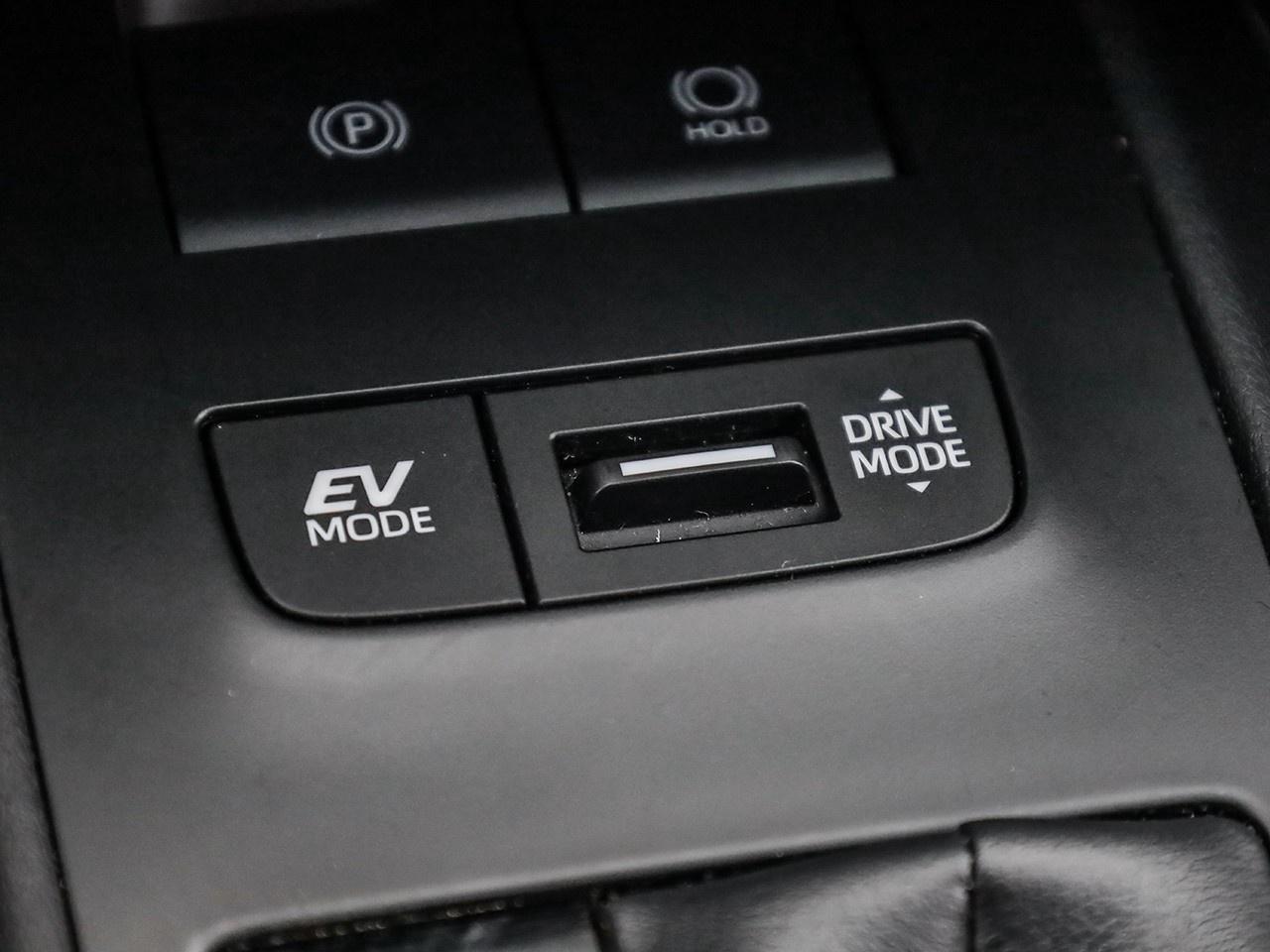 2024 Toyota Venza LE Photo