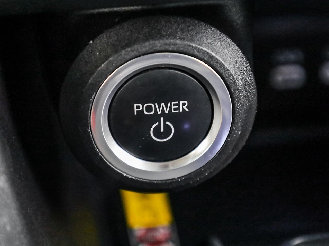 2024 Toyota Venza LE Photo