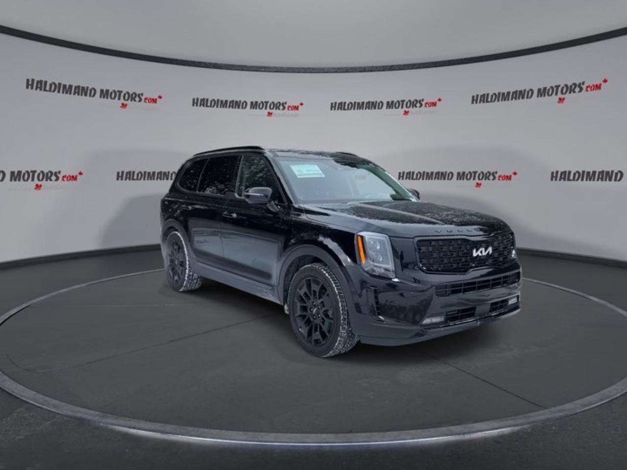 2022 Kia Telluride SX AWD | Sunroof |  360 Camera | Remote Start | Leather Seats Photo