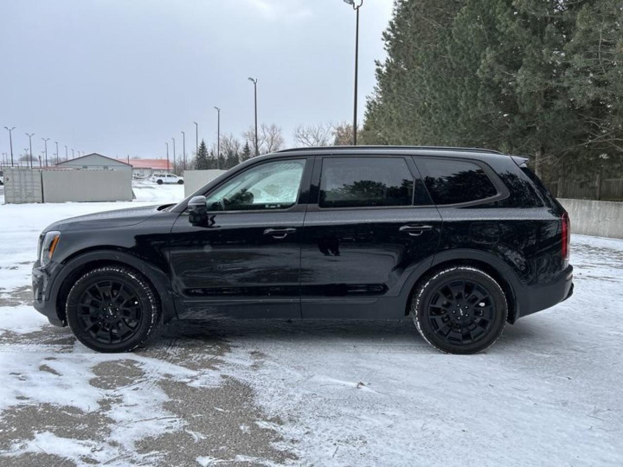 2022 Kia Telluride SX AWD | Sunroof |  360 Camera | Remote Start | Leather Seats Photo