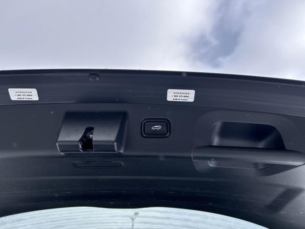 2022 Kia Telluride SX AWD | Sunroof |  360 Camera | Remote Start | Leather Seats Photo