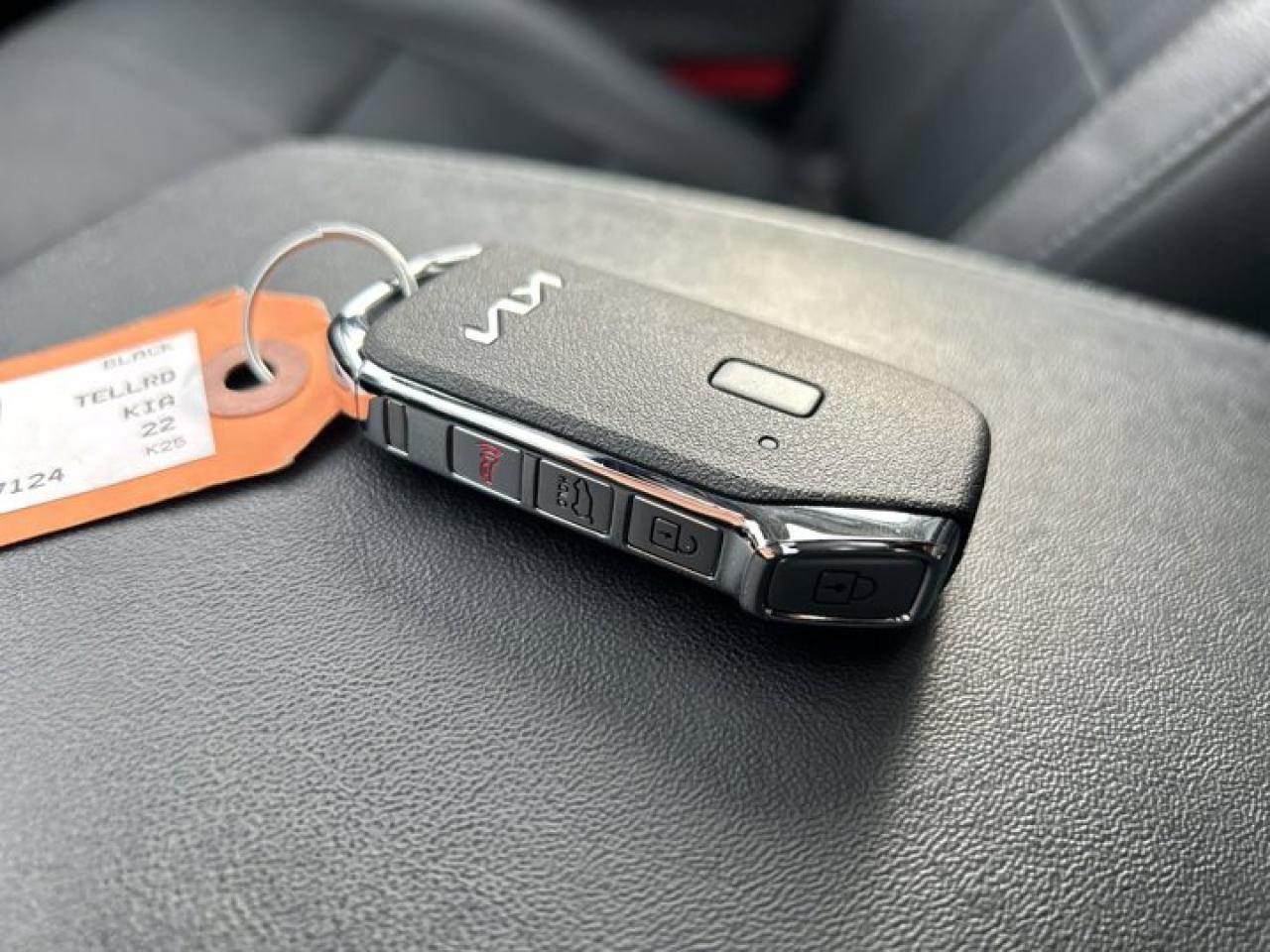 2022 Kia Telluride SX AWD | Sunroof |  360 Camera | Remote Start | Leather Seats Photo