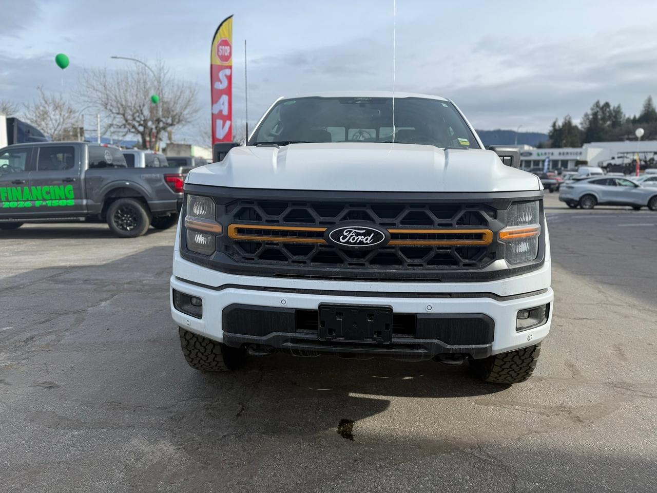 2026 Ford F-150 Tremor Photo2