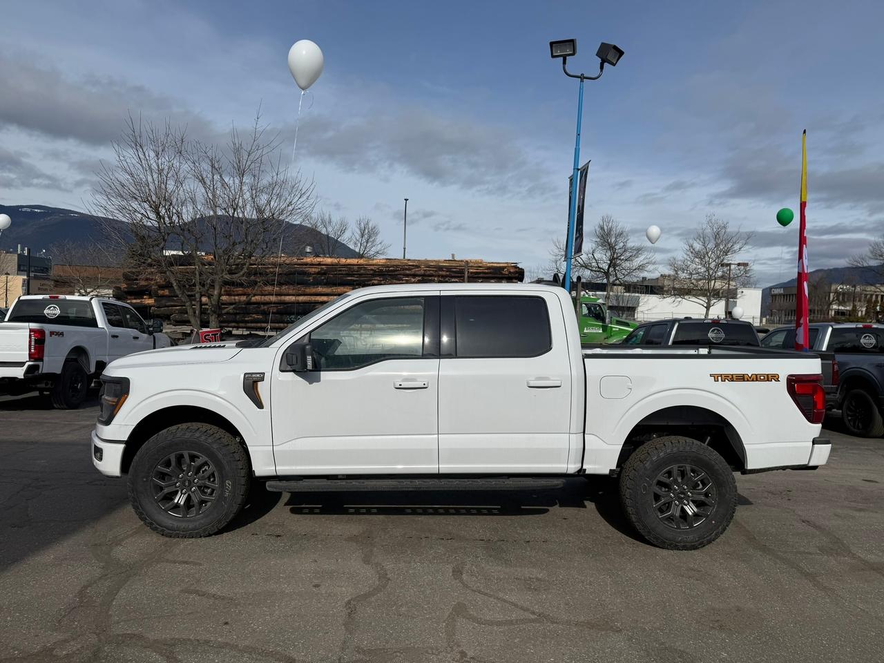2026 Ford F-150 Tremor Photo4
