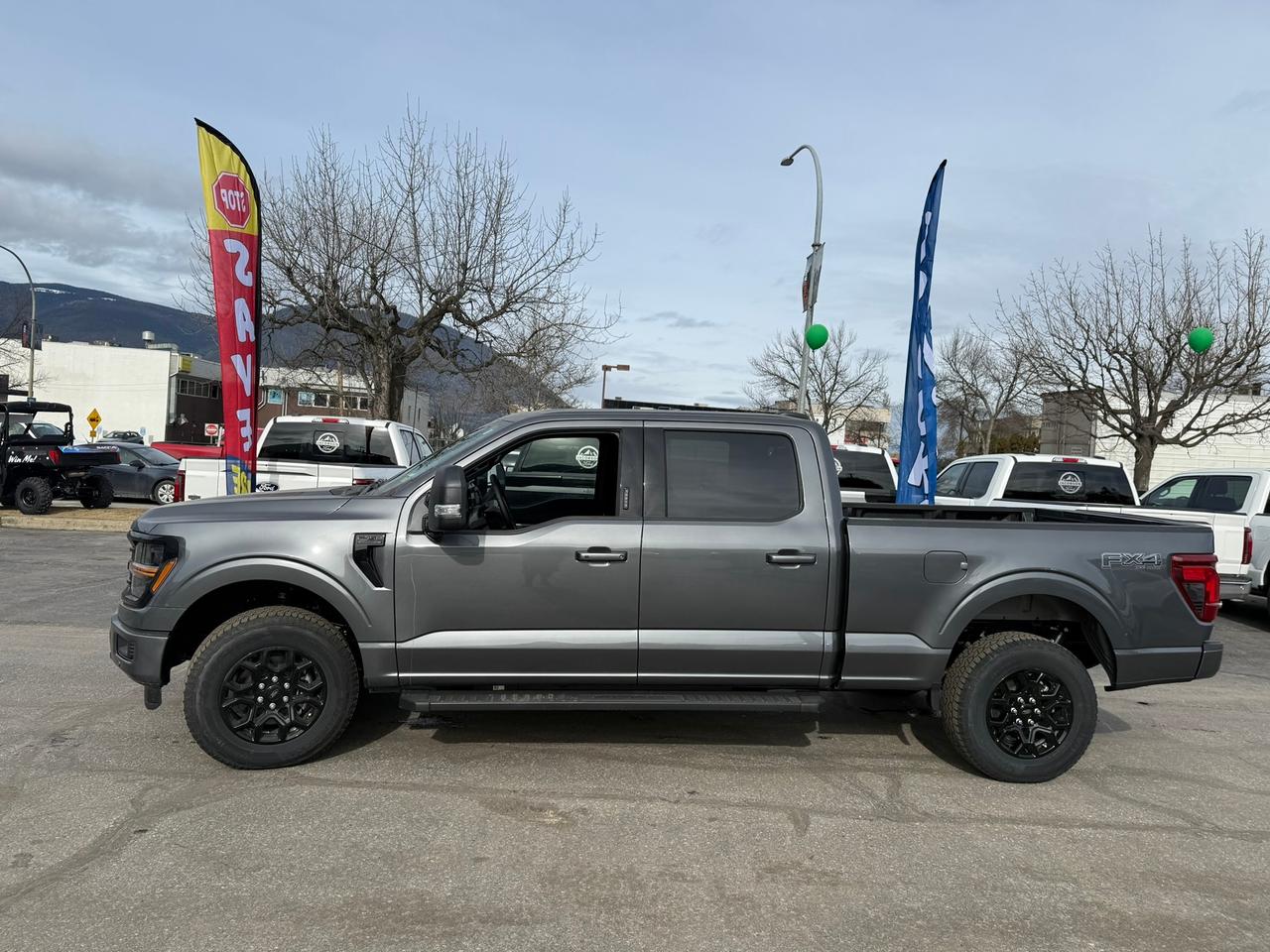 2026 Ford F-150 XLT Photo4