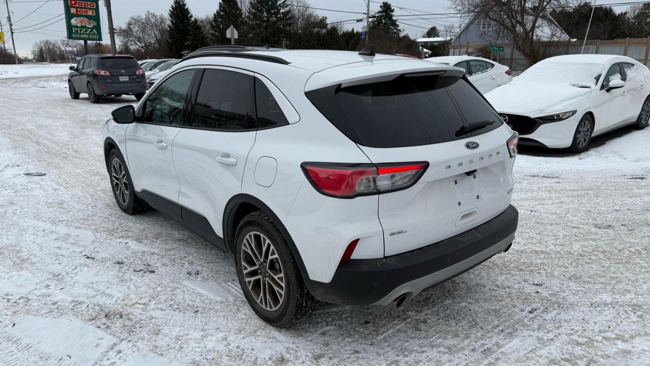 2020 Ford Escape SEL Photo2