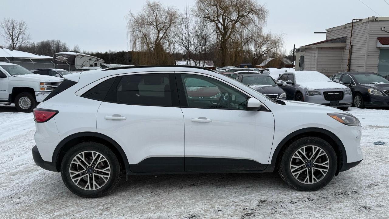 2020 Ford Escape SEL - Photo #6