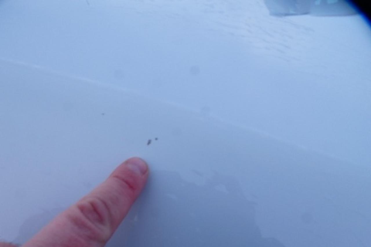 2023 Ford F-150 XLT ecoboost w/Power cloth seats, NAV, BUC - Photo #25