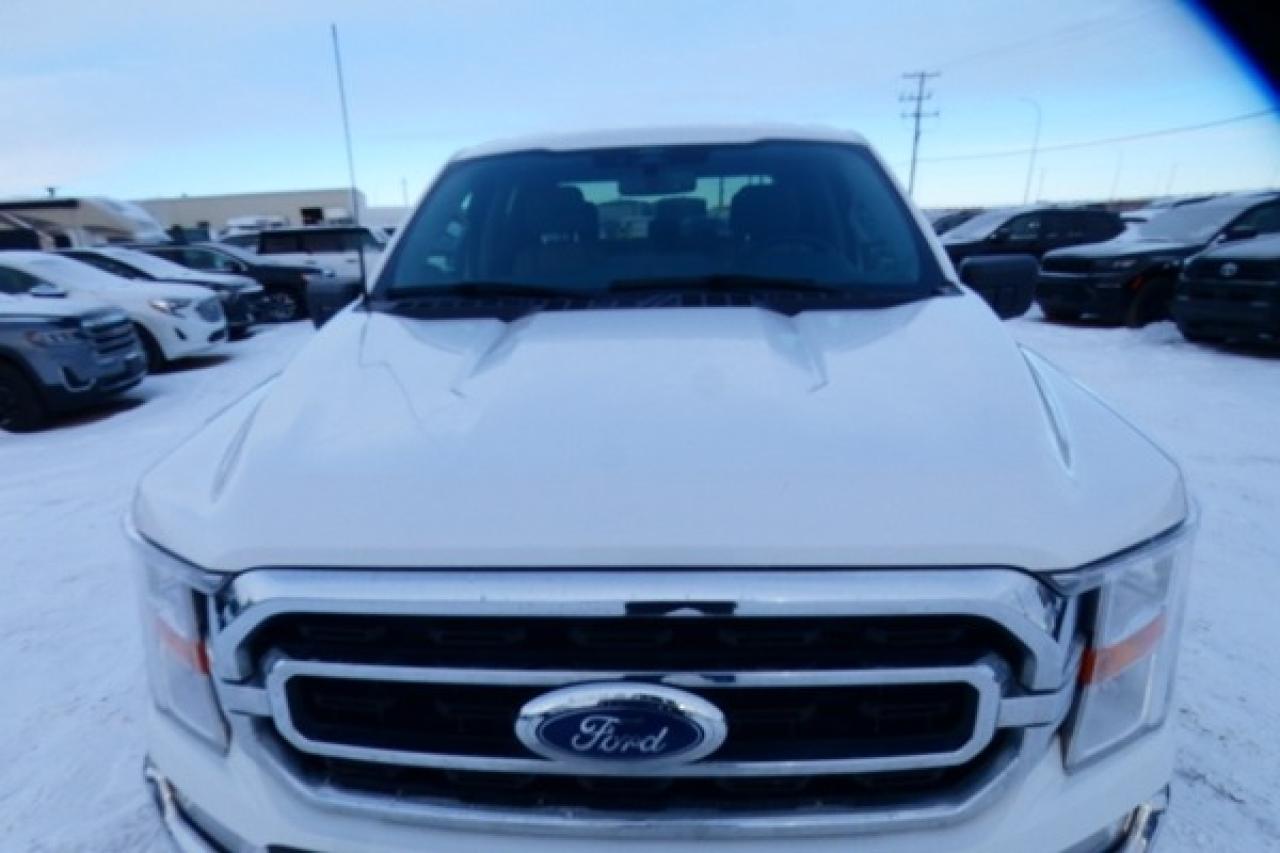 2023 Ford F-150 XLT ecoboost w/Power cloth seats, NAV, BUC - Photo #29