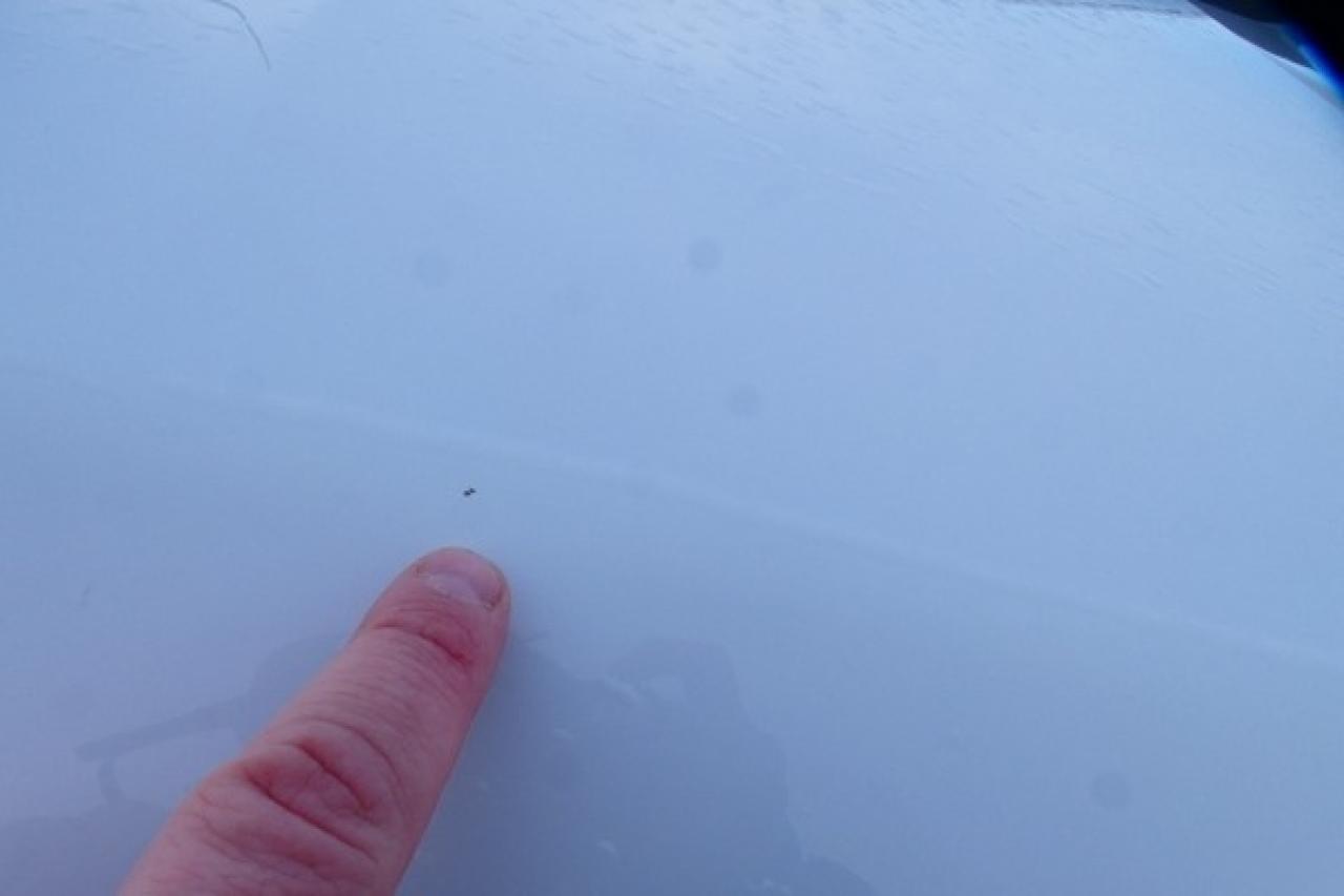 2023 Ford F-150 XLT ecoboost w/Power cloth seats, NAV, BUC - Photo #26