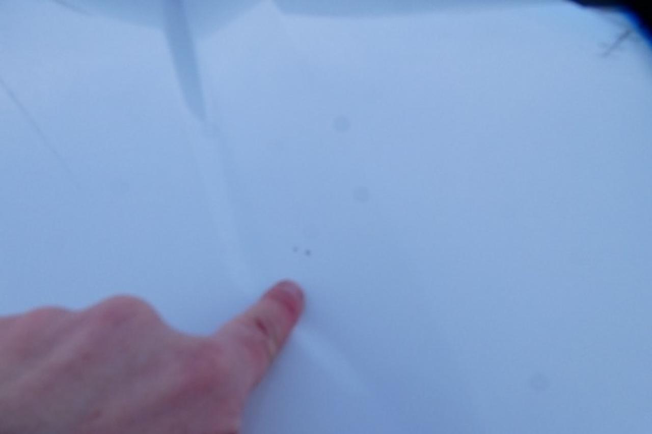 2023 Ford F-150 XLT ecoboost w/Power cloth seats, NAV, BUC - Photo #28