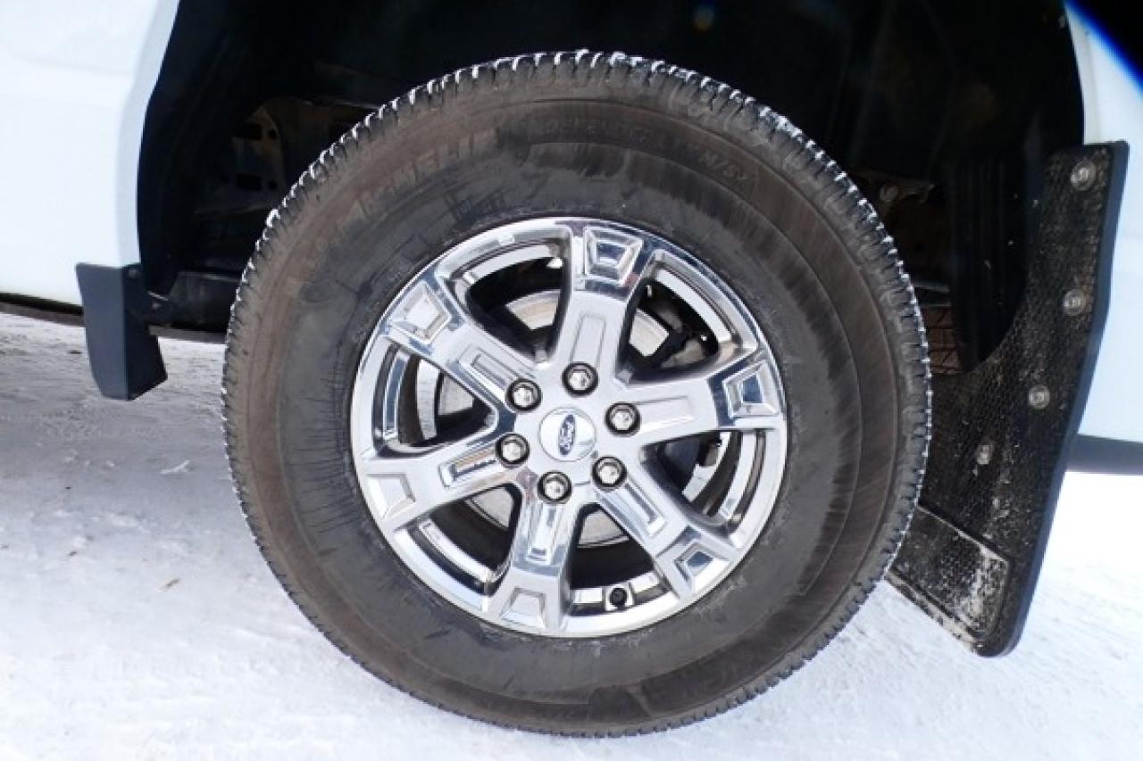 2023 Ford F-150 XLT ecoboost w/Power cloth seats, NAV, BUC - Photo #18