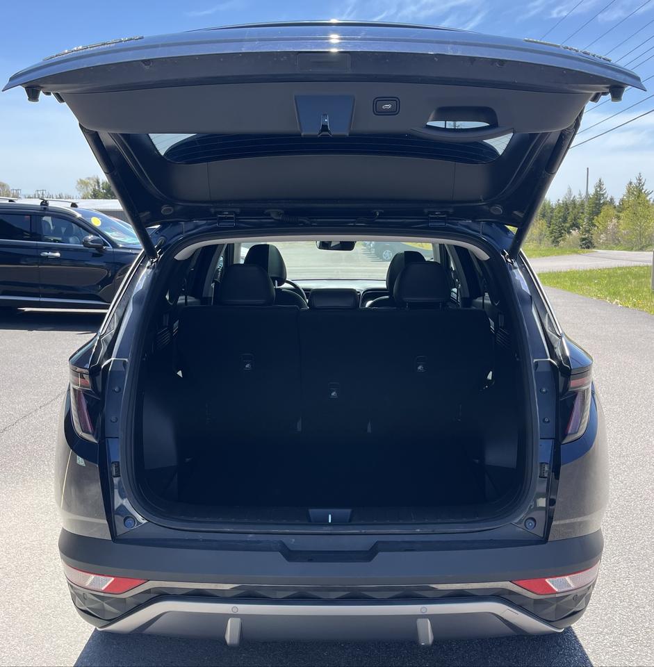 2023 Hyundai Tucson  Photo