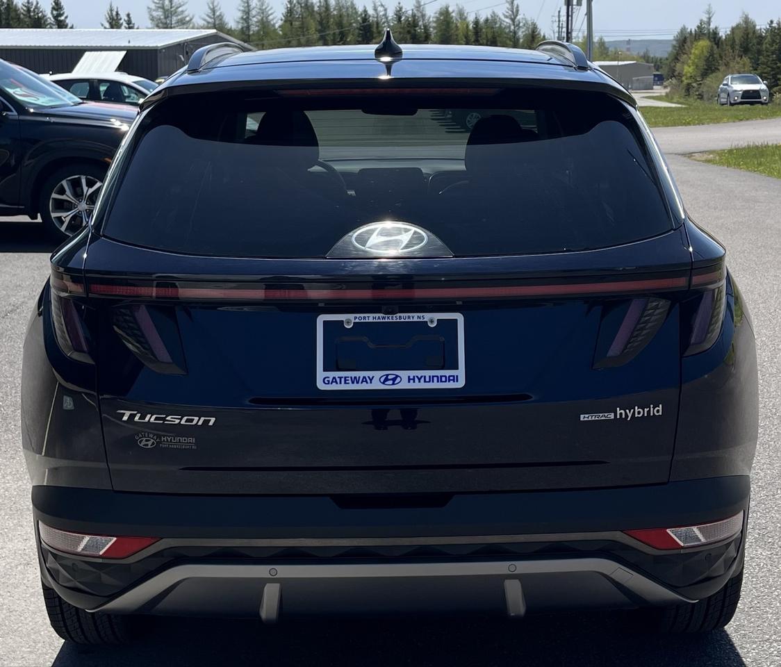 2023 Hyundai Tucson  Photo