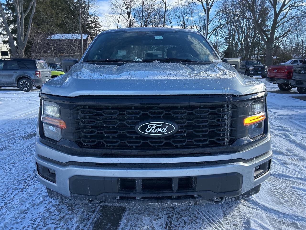 2025 Ford F-150 STX 4WD Service Loaner Photo