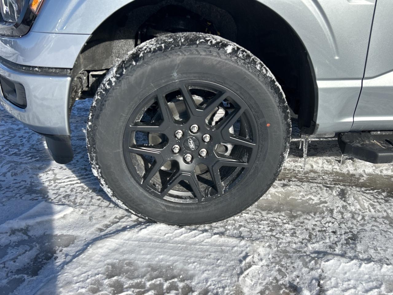 2025 Ford F-150 STX 4WD Service Loaner Photo