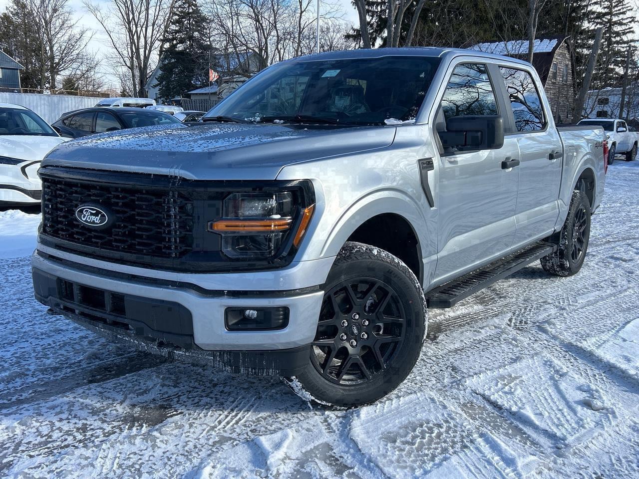 2025 Ford F-150 STX 4WD Service Loaner Photo0
