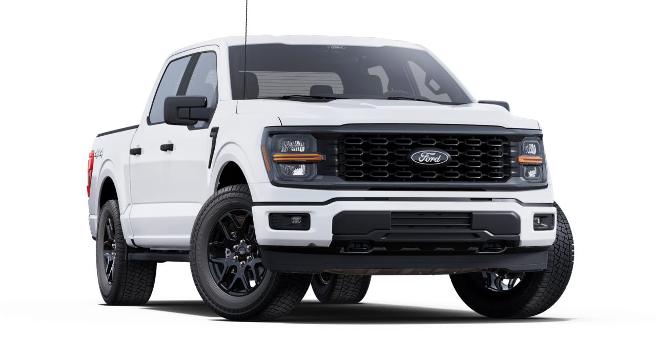 2025 Ford F-150 STX 4WD SuperCrew 5.5' Box 200A Photo