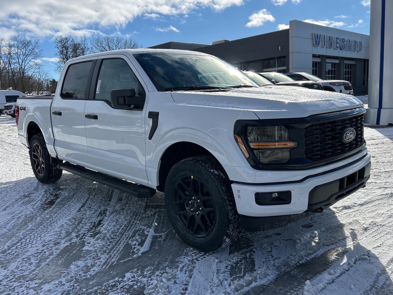 2025 Ford F-150 STX 4WD SuperCrew 5.5' Box 200A Photo4