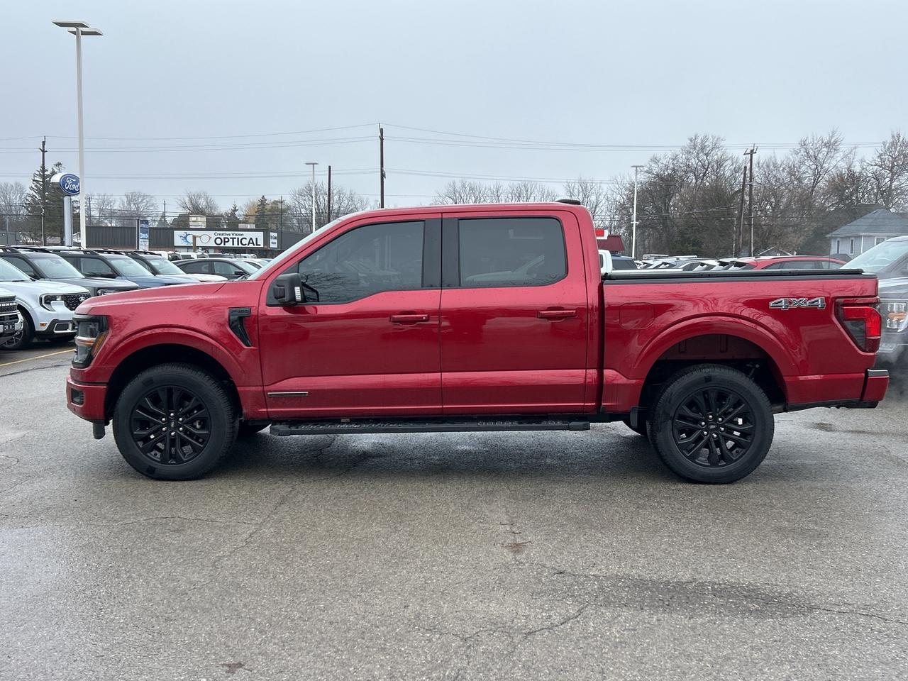 2025 Ford F-150 XLT 4WD SuperCrew 5.5' Box 302A Photo