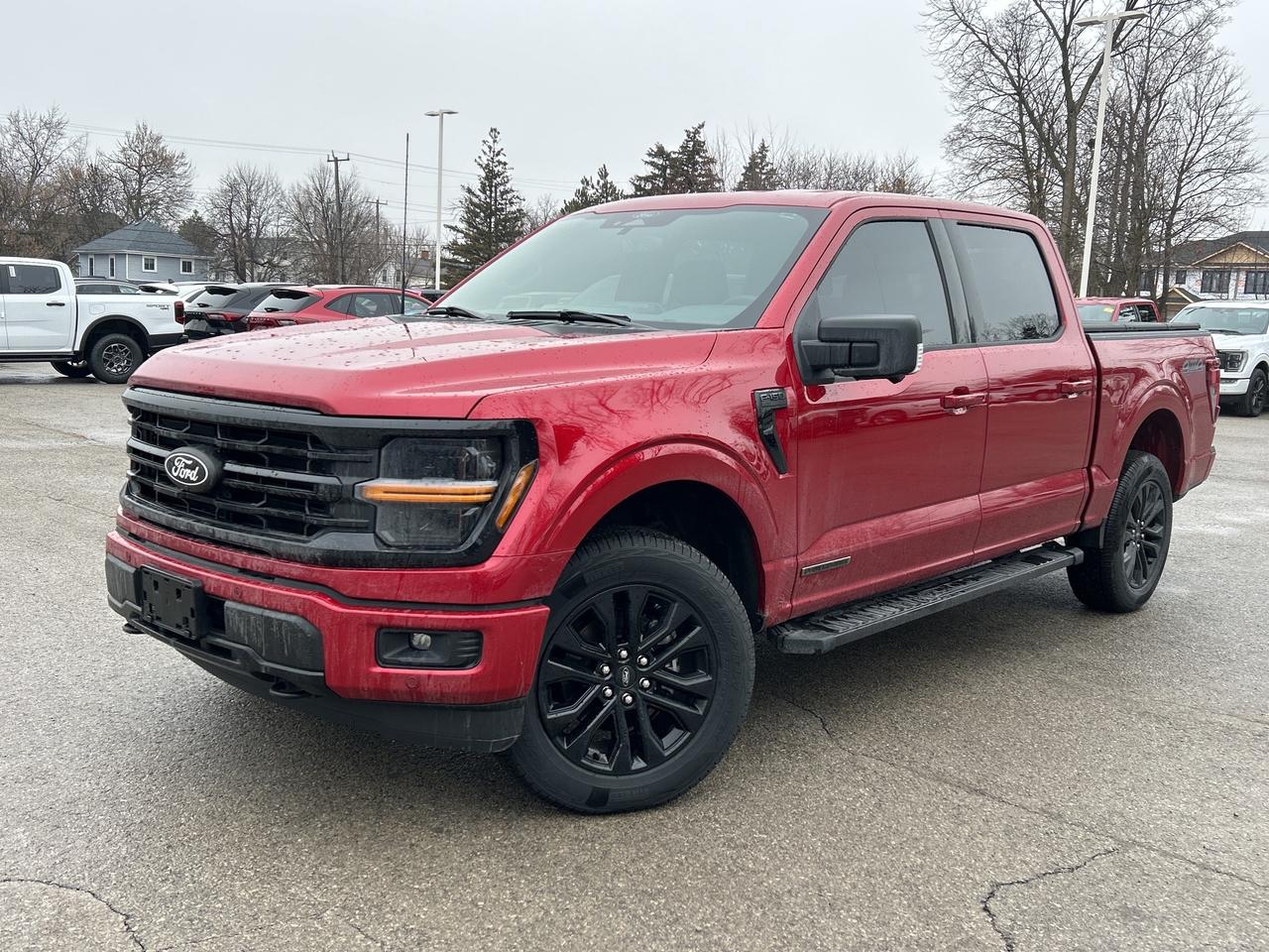 2025 Ford F-150 XLT 4WD SuperCrew 5.5' Box 302A Photo0
