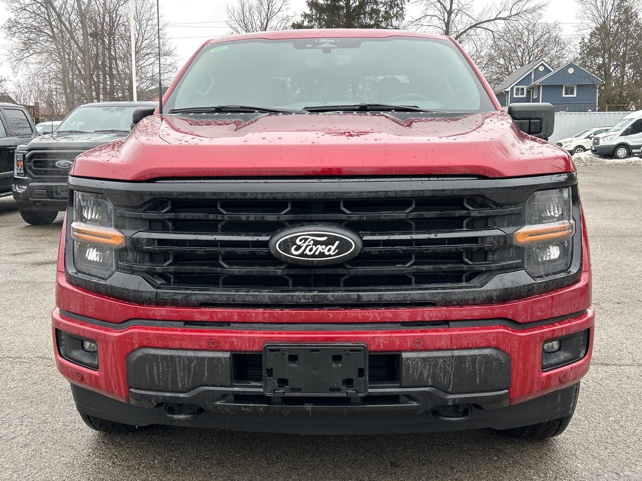 2025 Ford F-150 XLT 4WD SuperCrew 5.5' Box 302A Photo
