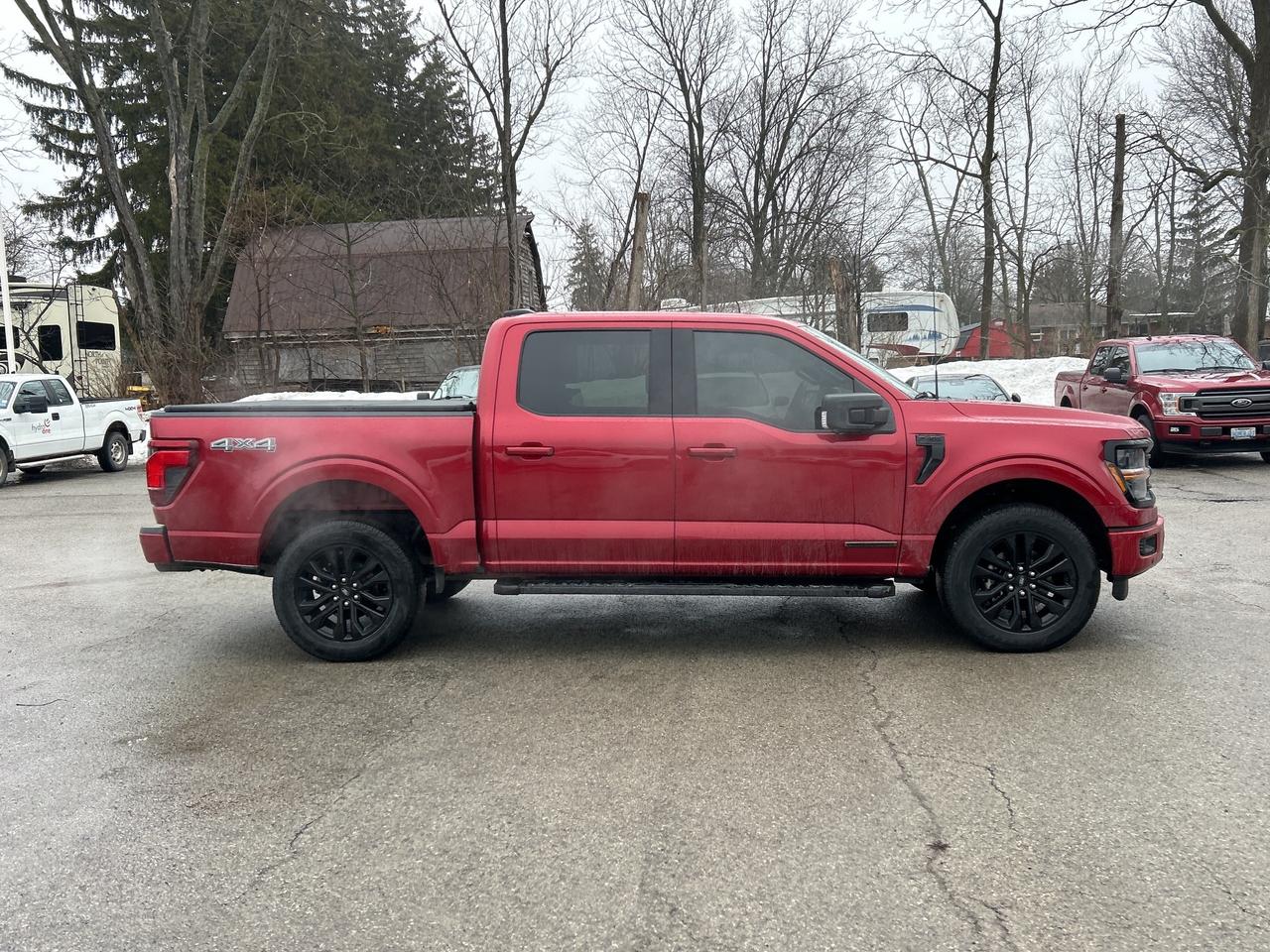2025 Ford F-150 XLT 4WD SuperCrew 5.5' Box 302A Photo