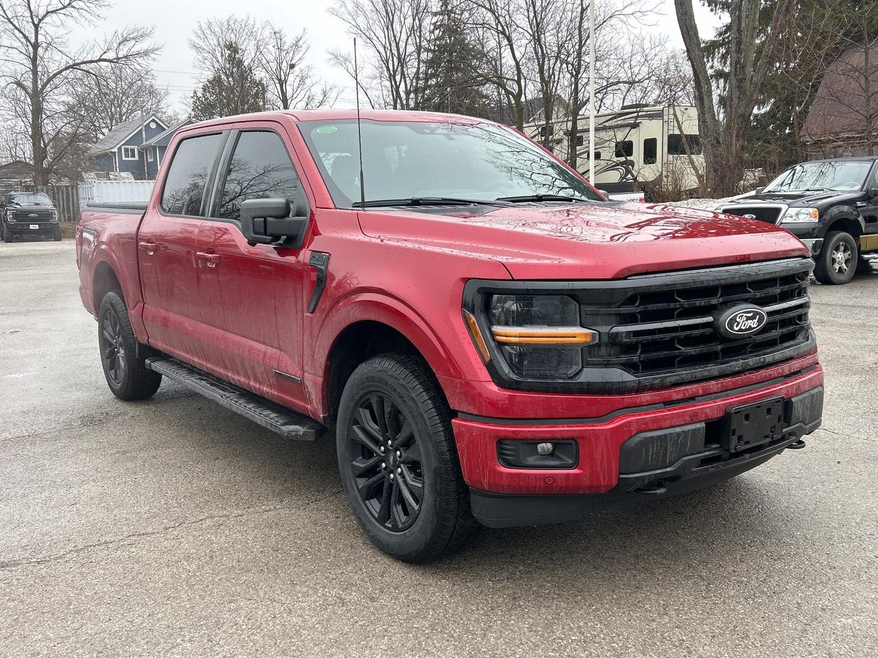 2025 Ford F-150 XLT 4WD SuperCrew 5.5' Box 302A Photo