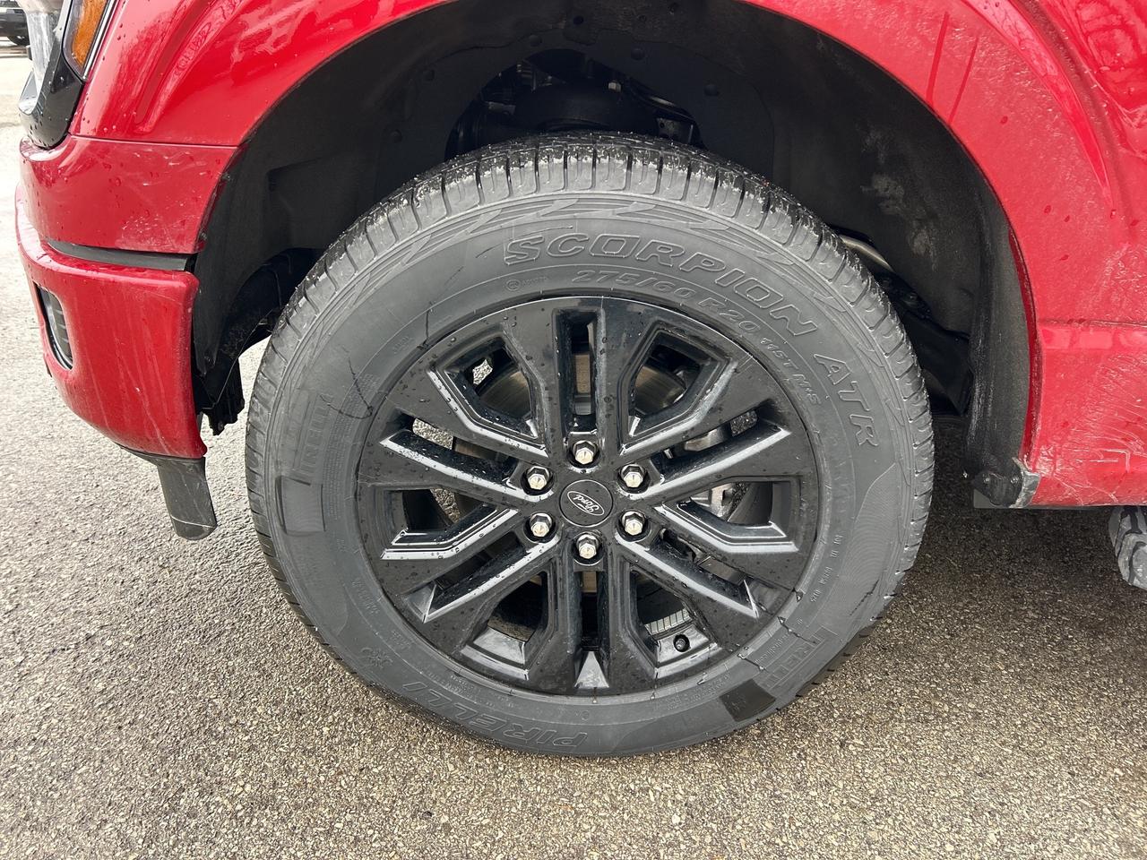 2025 Ford F-150 XLT 4WD SuperCrew 5.5' Box 302A Photo