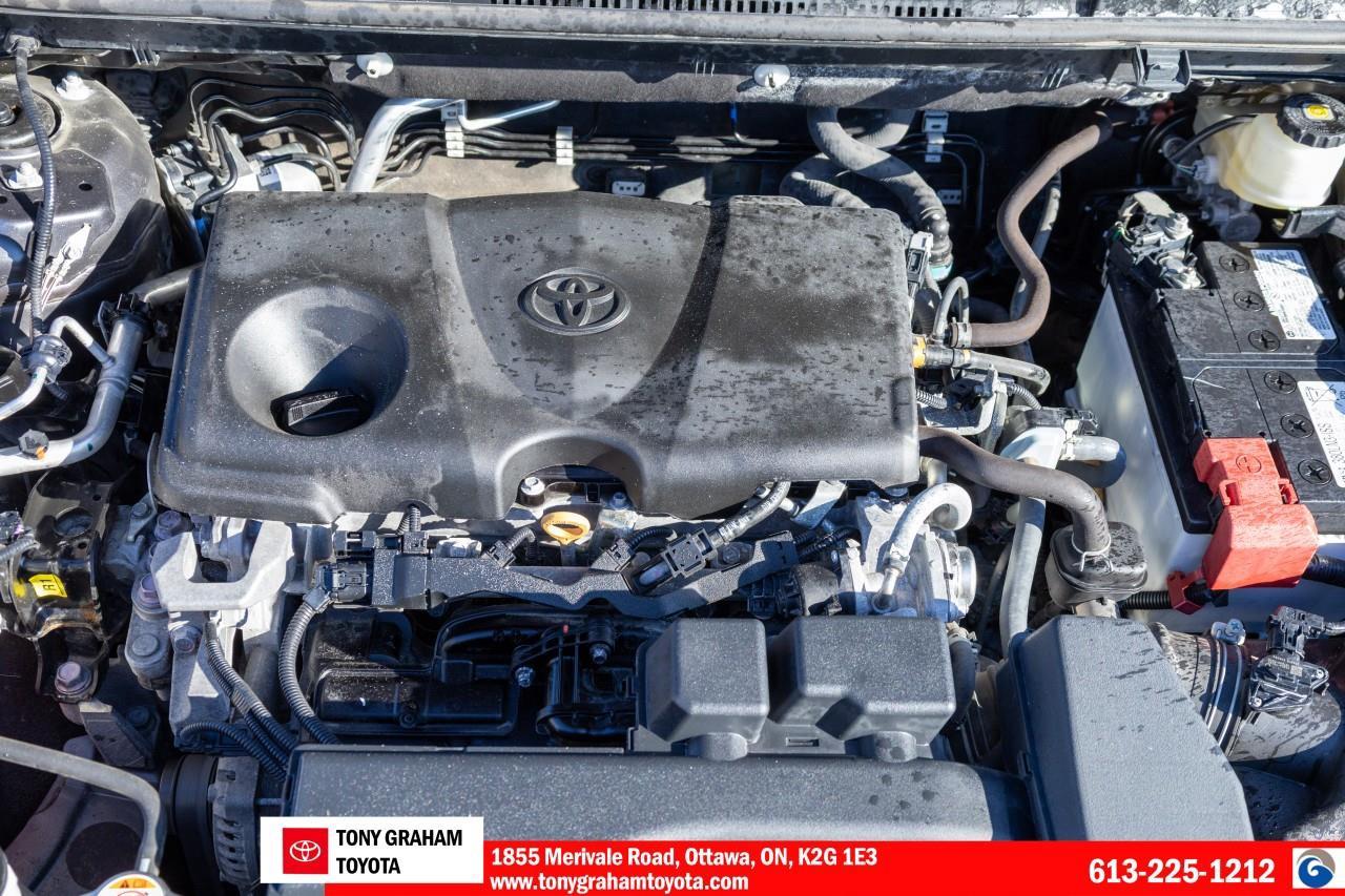 2022 Toyota RAV4 LE Photo