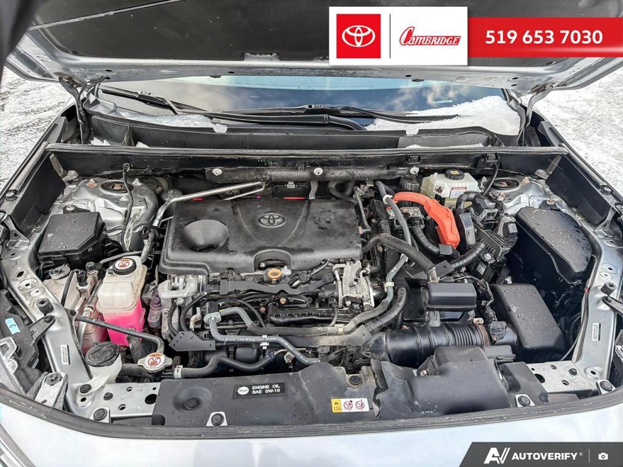 2021 Toyota RAV4 Hybrid XLE Photo