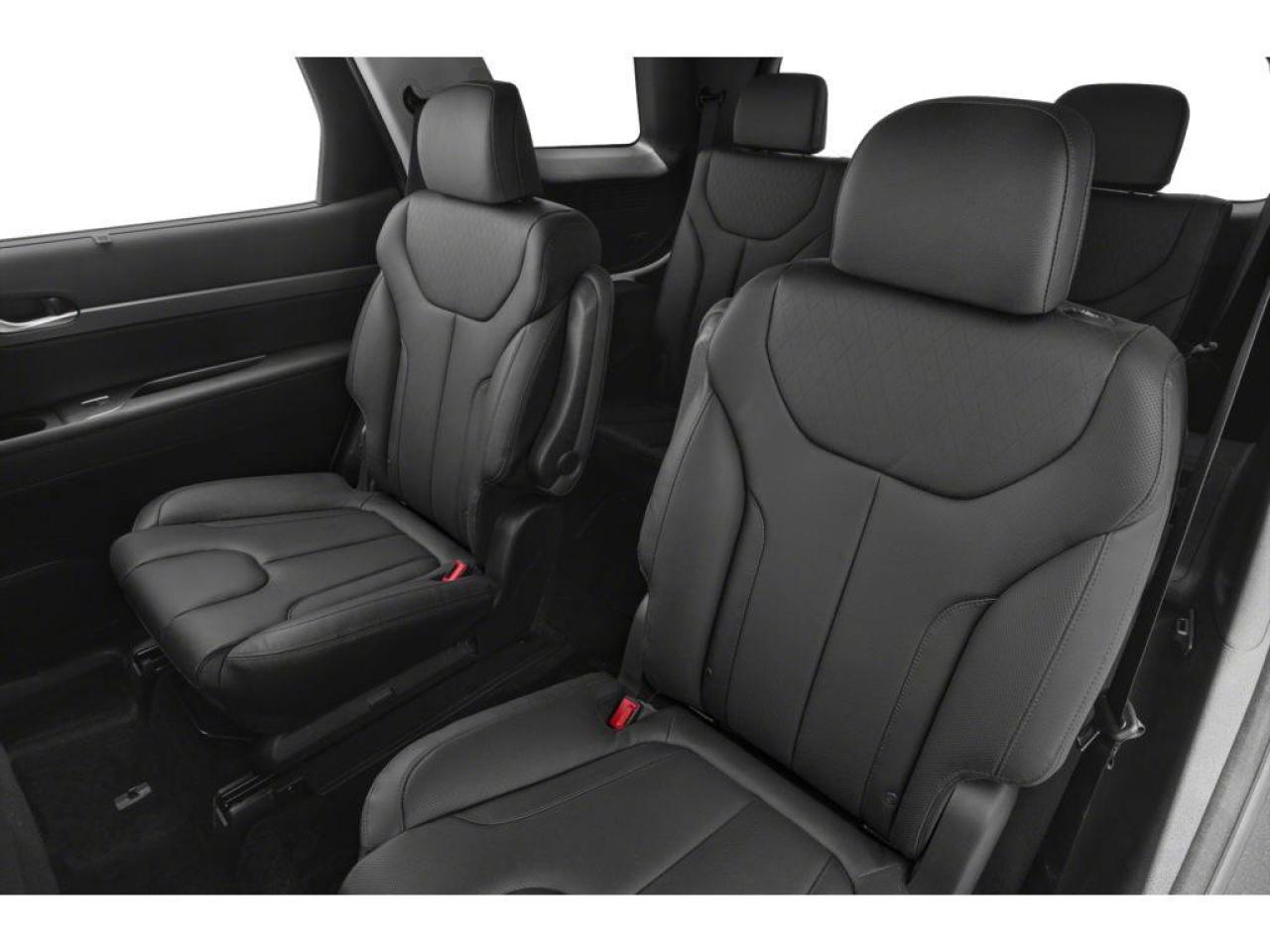 2020 Hyundai PALISADE Luxury 8 Passenger Photo