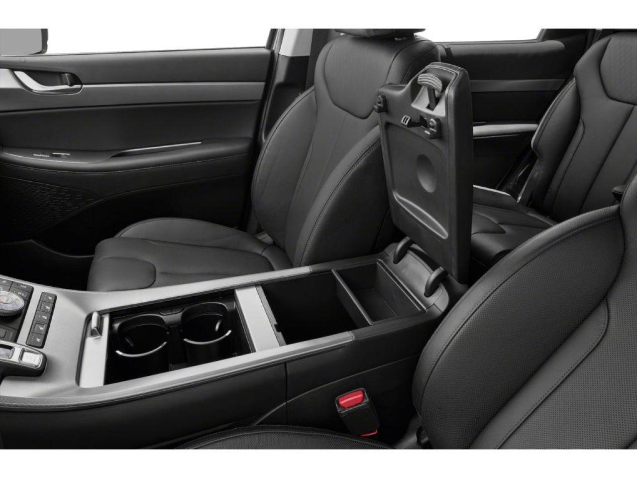 2020 Hyundai PALISADE Luxury 8 Passenger Photo