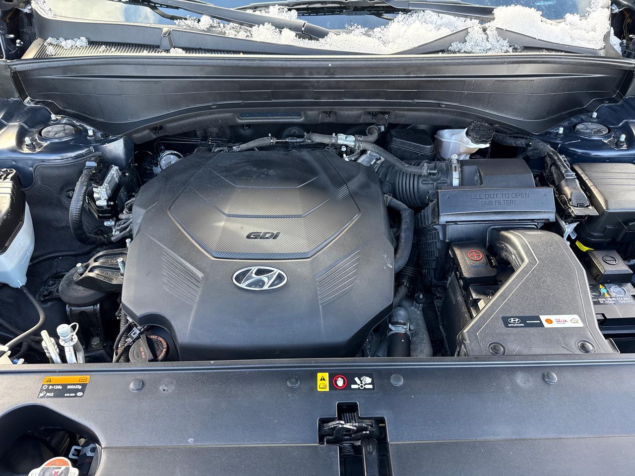 2020 Hyundai PALISADE Luxury 8 Passenger Photo