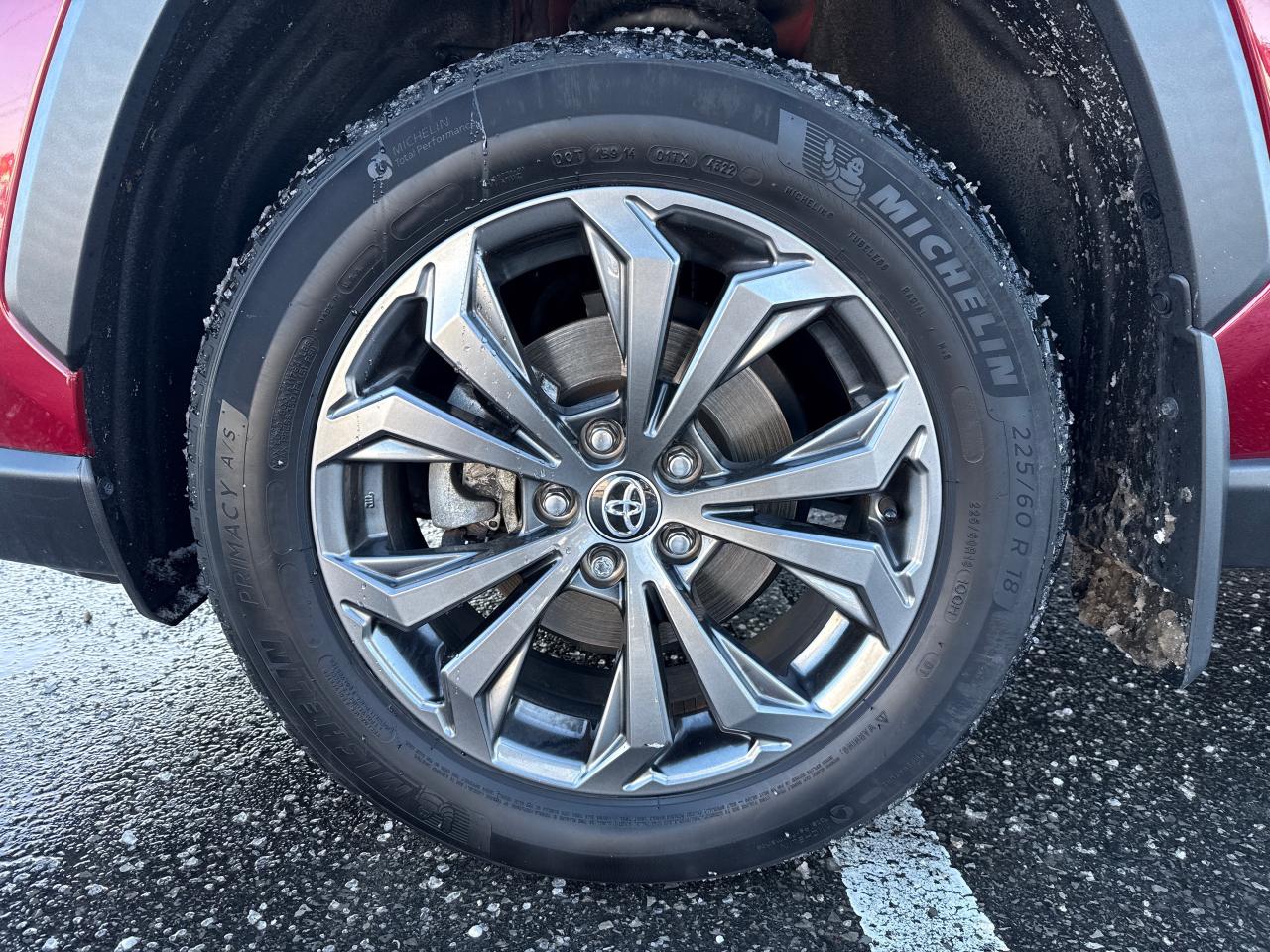 2023 Toyota RAV4 Hybrid Limited Photo