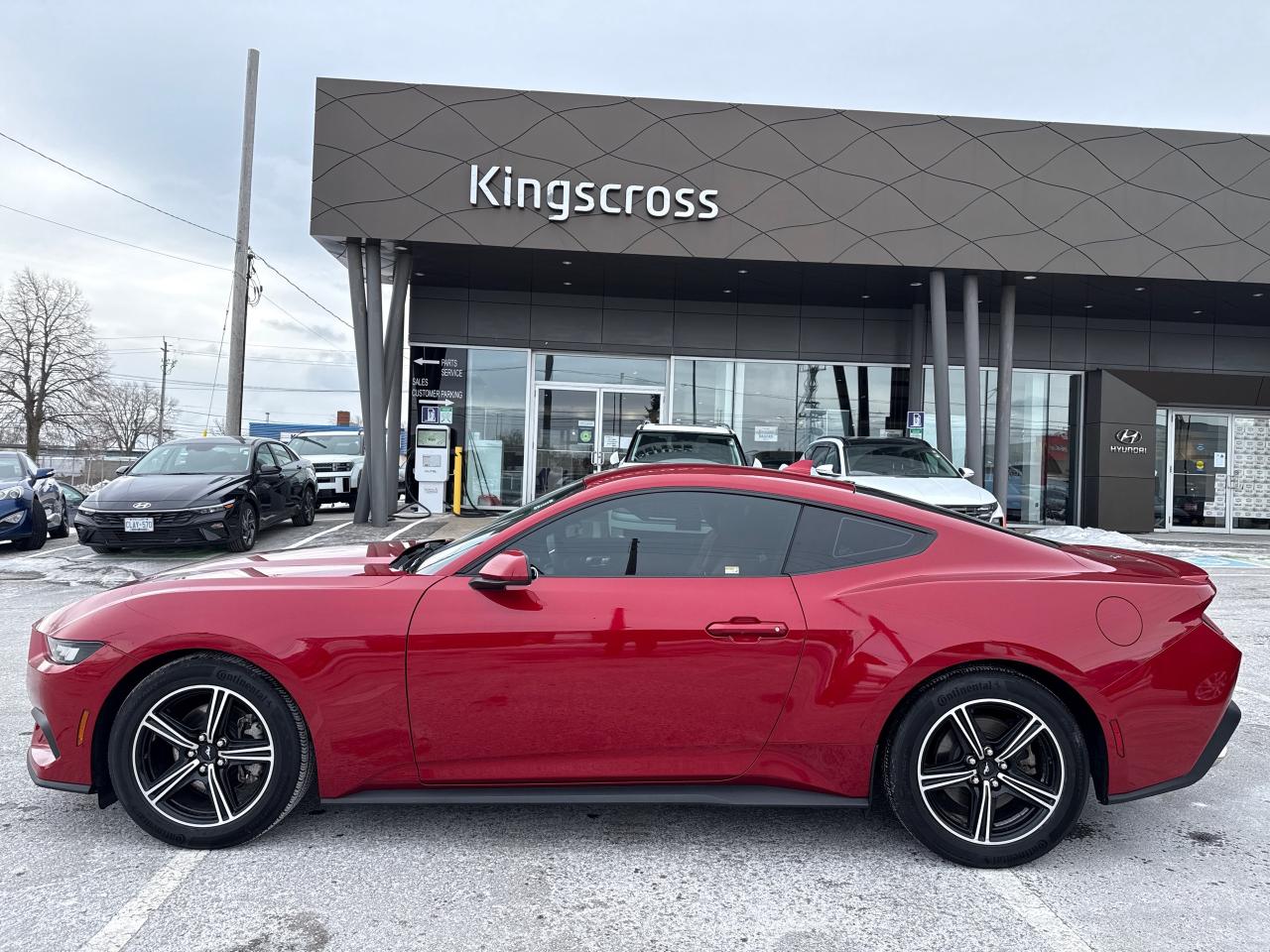 2024 Ford Mustang EcoBoost Premium Photo