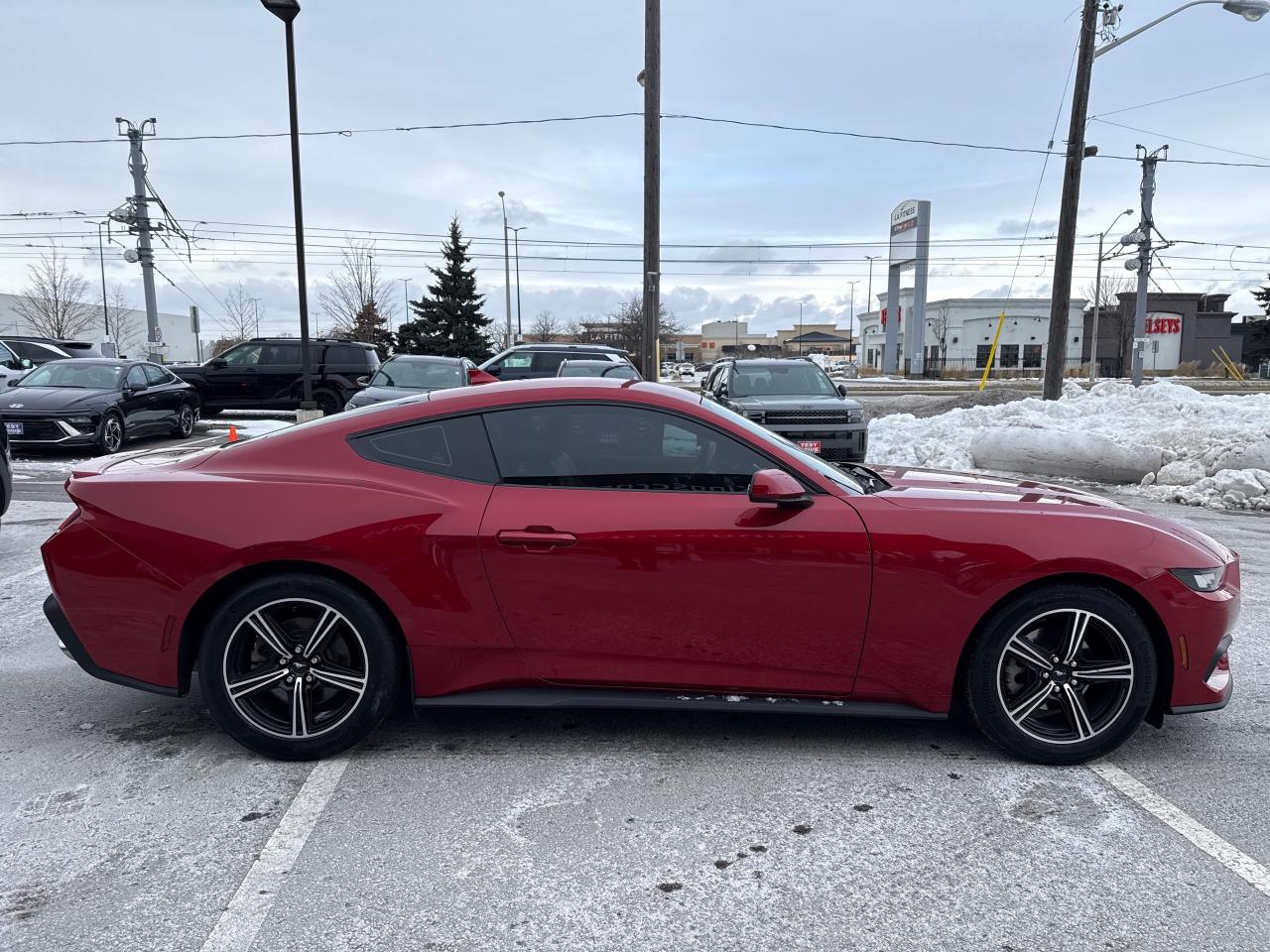 2024 Ford Mustang EcoBoost Premium Photo