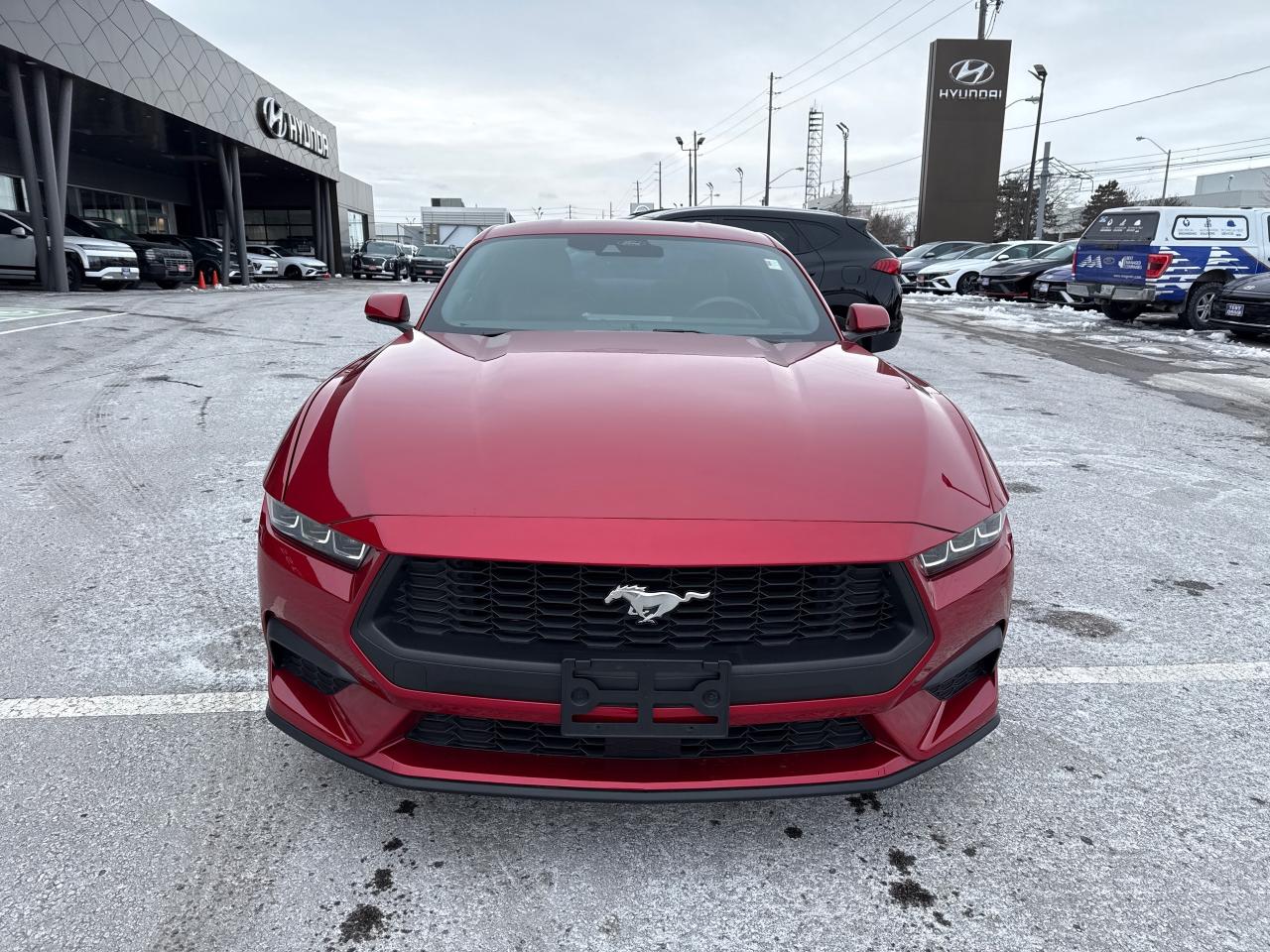 2024 Ford Mustang EcoBoost Premium Photo