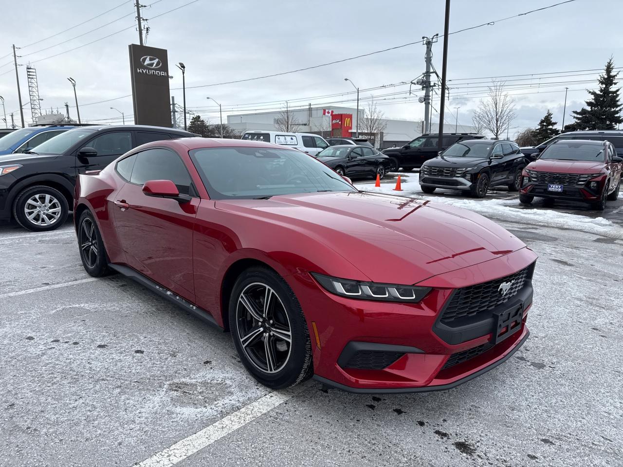 2024 Ford Mustang EcoBoost Premium Photo