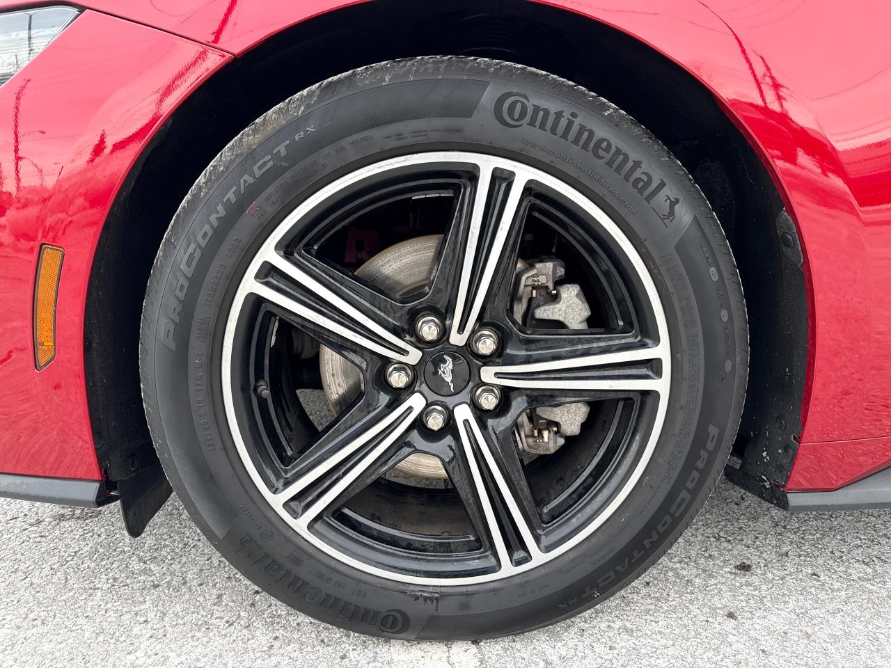 2024 Ford Mustang EcoBoost Premium Photo