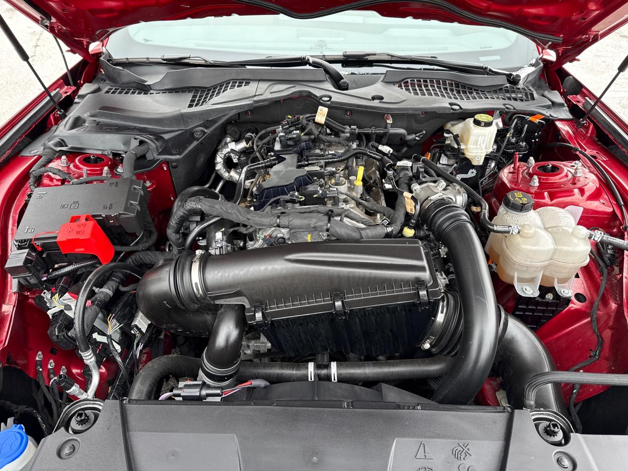 2024 Ford Mustang EcoBoost Premium Photo