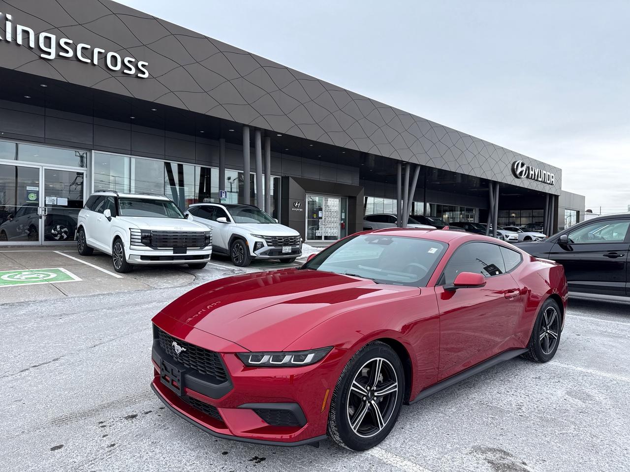 2024 Ford Mustang EcoBoost Premium Photo0
