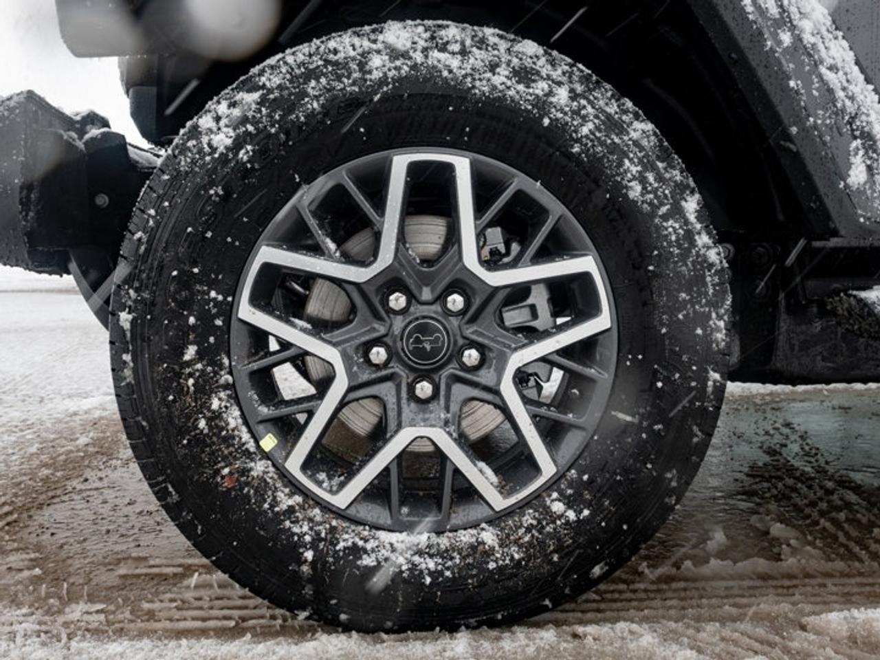 2026 Jeep Wrangler Sahara Photo