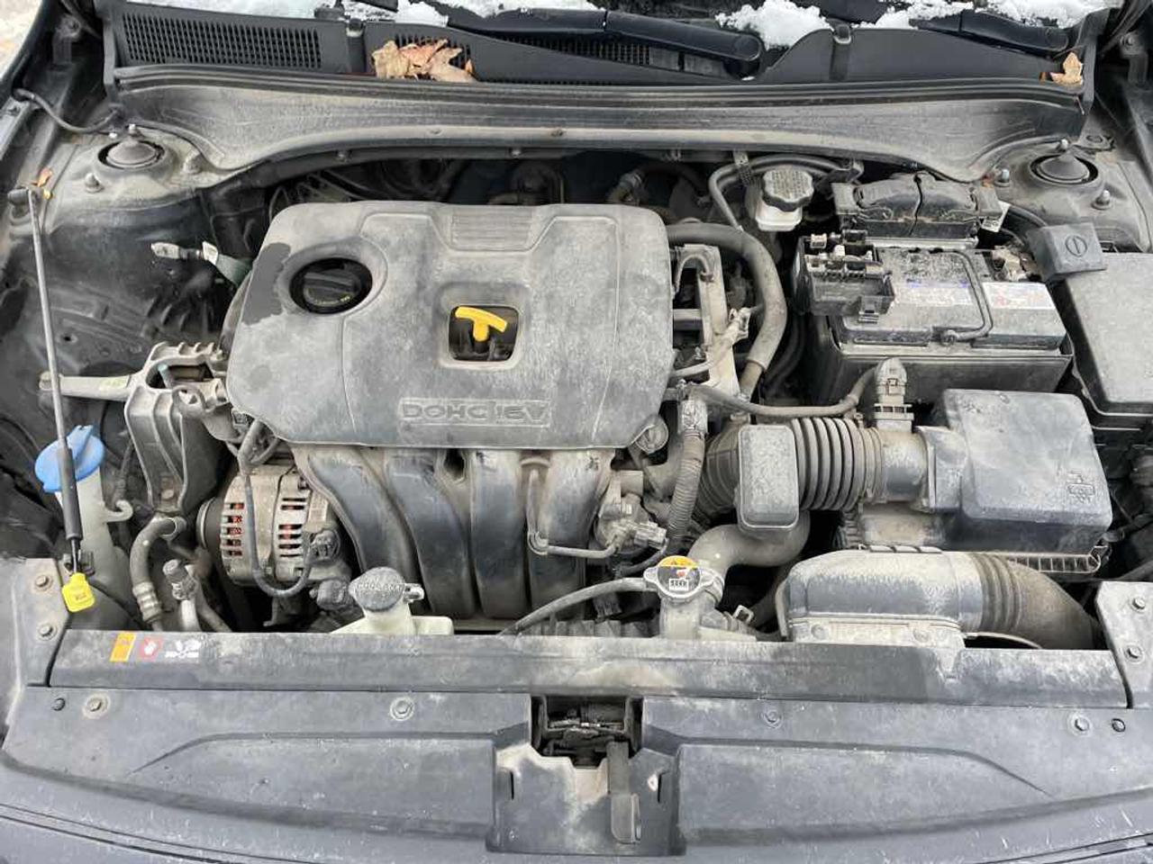 2019 Kia Forte FE Photo